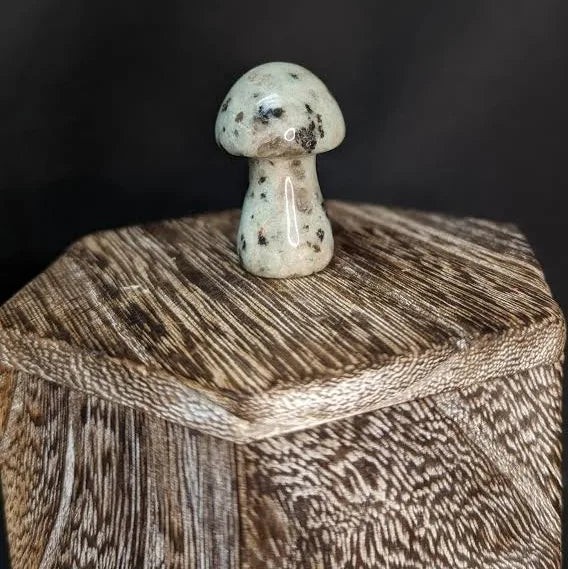 Medium Mushroom Stone