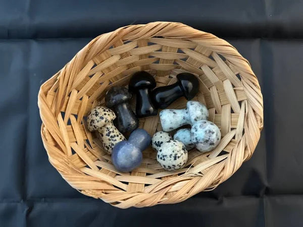 Medium Mushroom Stone