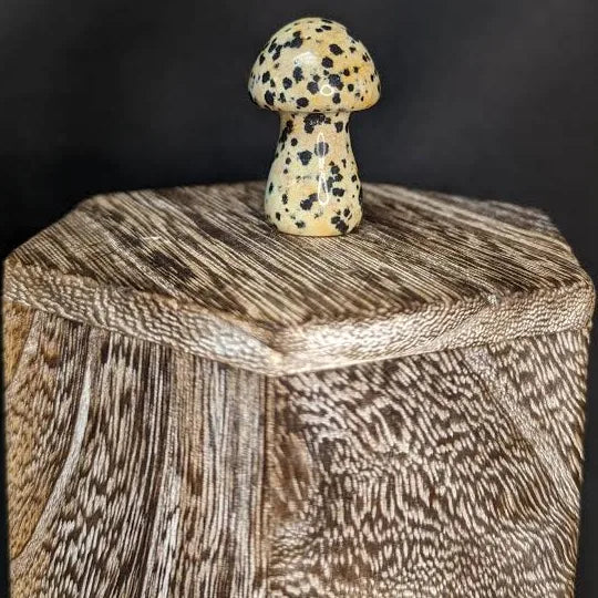 Medium Mushroom Stone