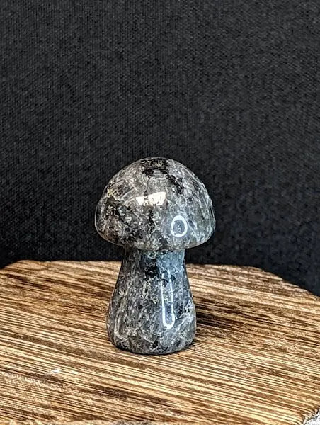 Medium Mushroom Stone