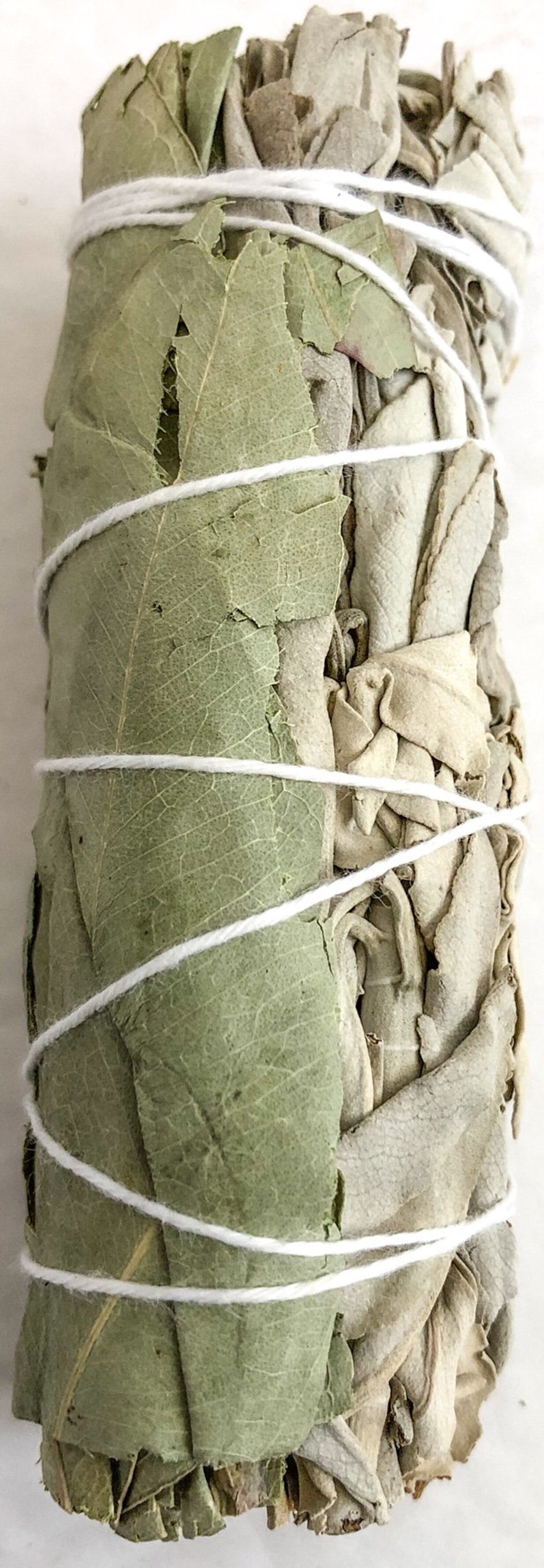 White Sage with Green Eucalyptus Smudge Sticks 4"